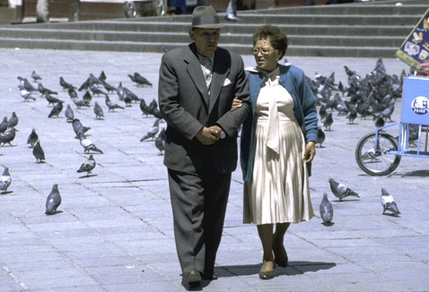 aging couple walking among pigeons in a plaza