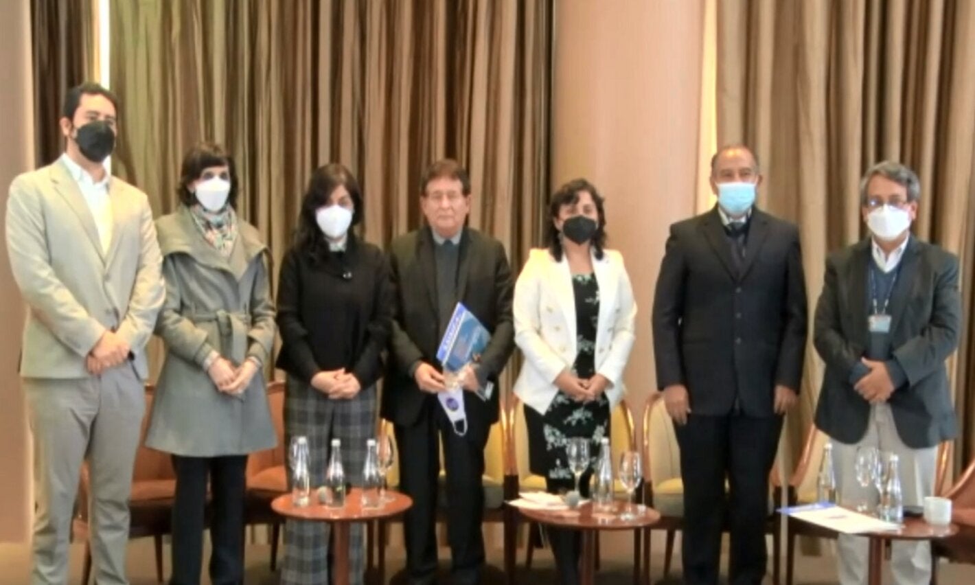 panel multisectorial