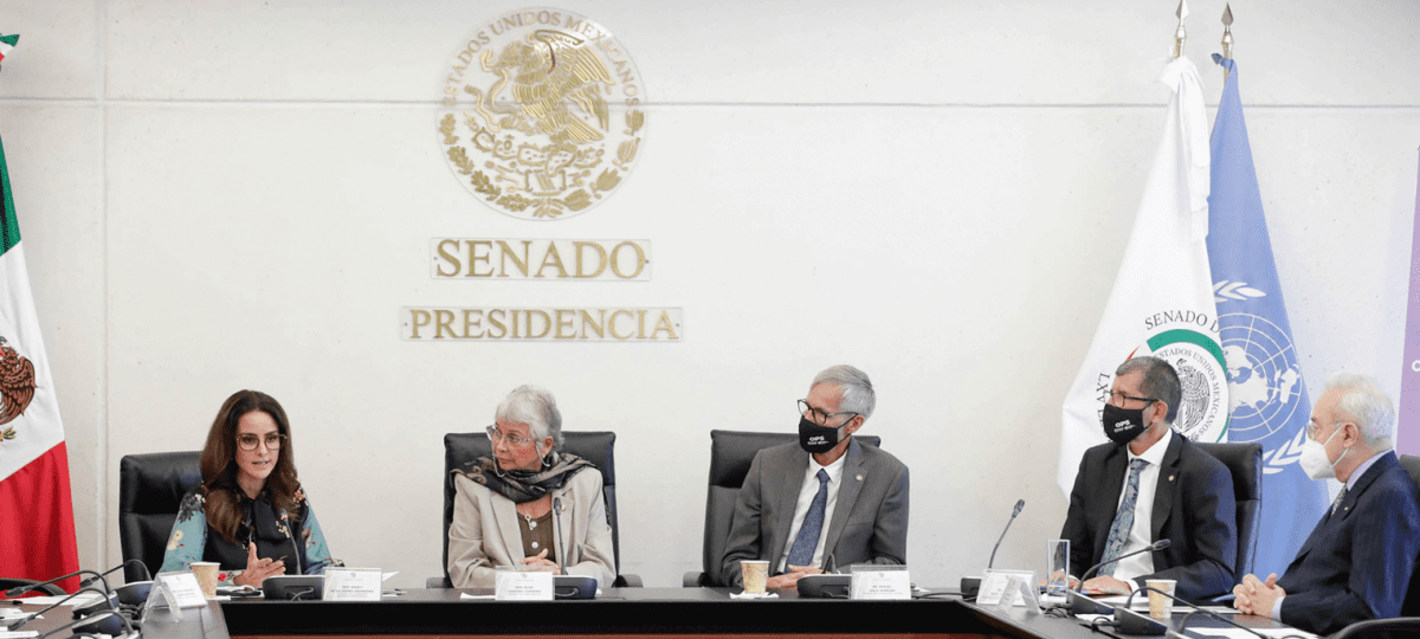Reunión de OPS con la Comisión de Organismos Internacionales del Senado