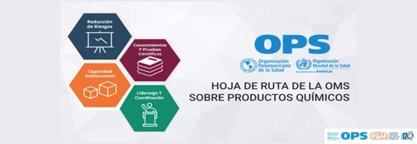 Webinario: Experiencias de aplicación de la Hoja de Ruta de la OMS sobre Productos Químicos en América Latina