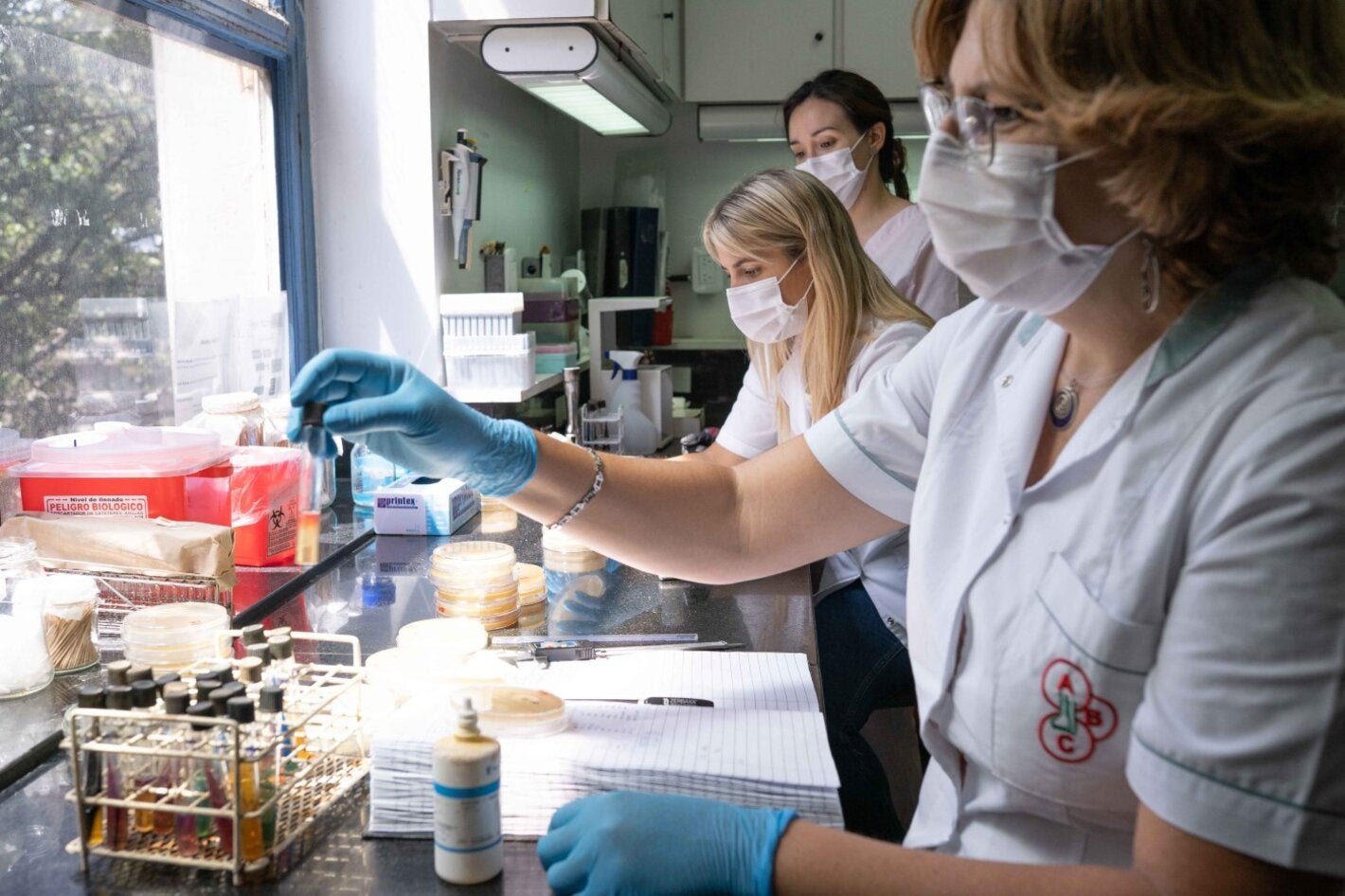 Identificación y detección de mecanismos de resistencia de las muestras que recibe el laboratorio.