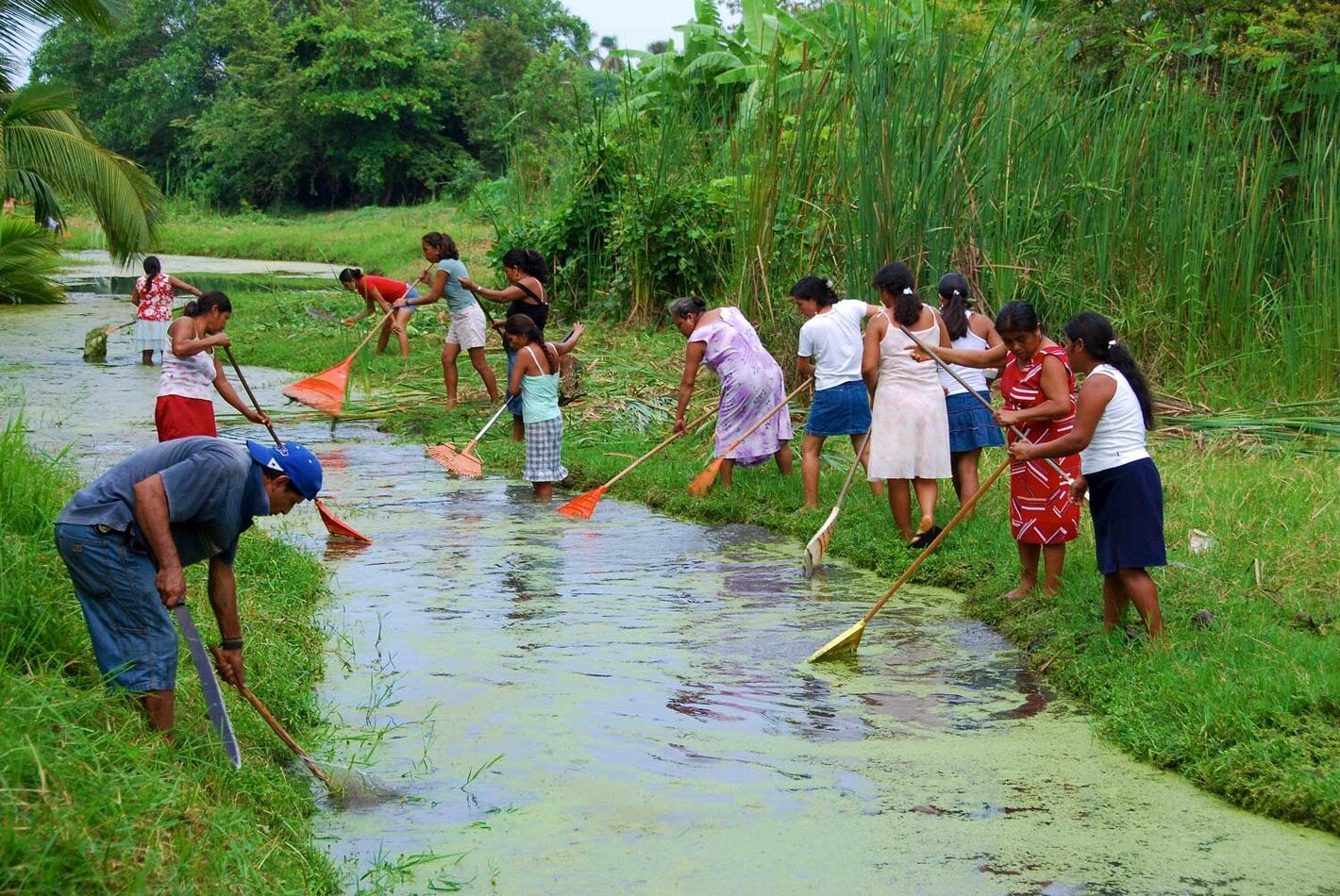 volunteers treat standing water