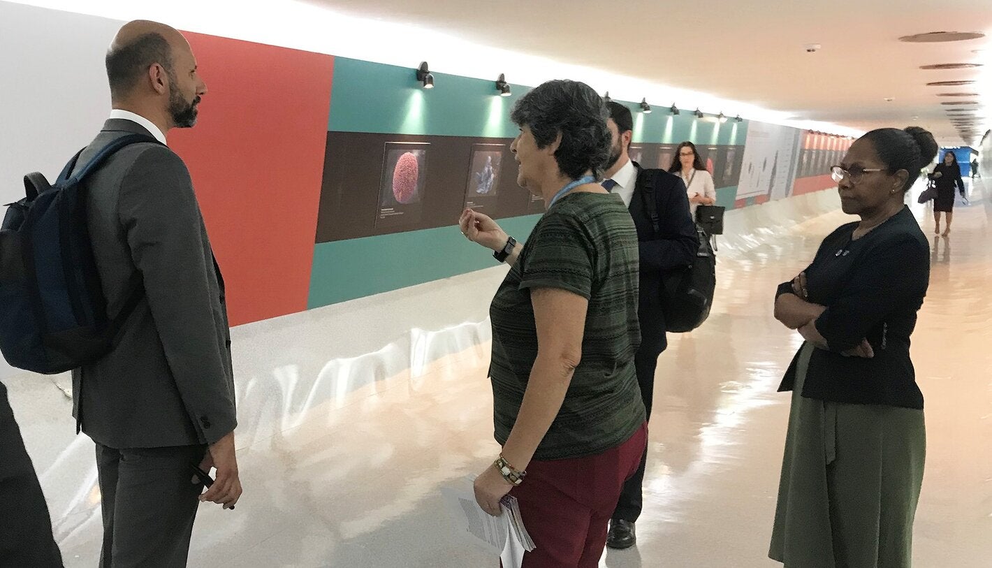 Exposición Nanoarte en el MinSal de Brasil