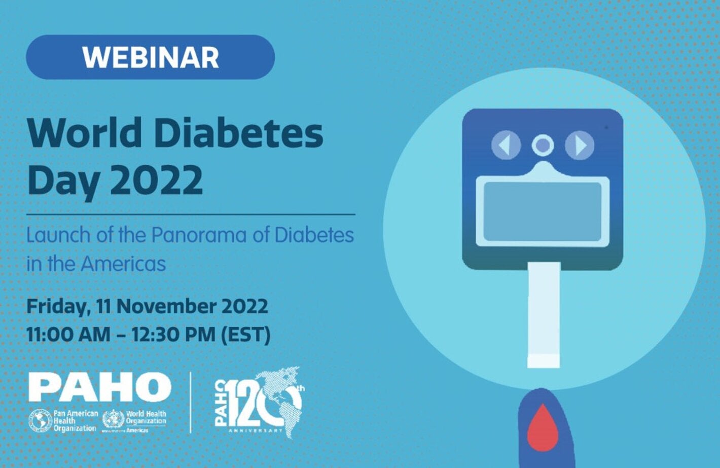 World Diabetes Day 2022