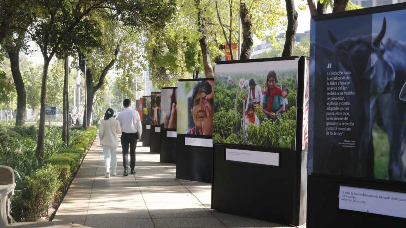 Galería Abierta: Celebrando 120 Años de Solidaridad por la Salud y el Bienestar de Todos