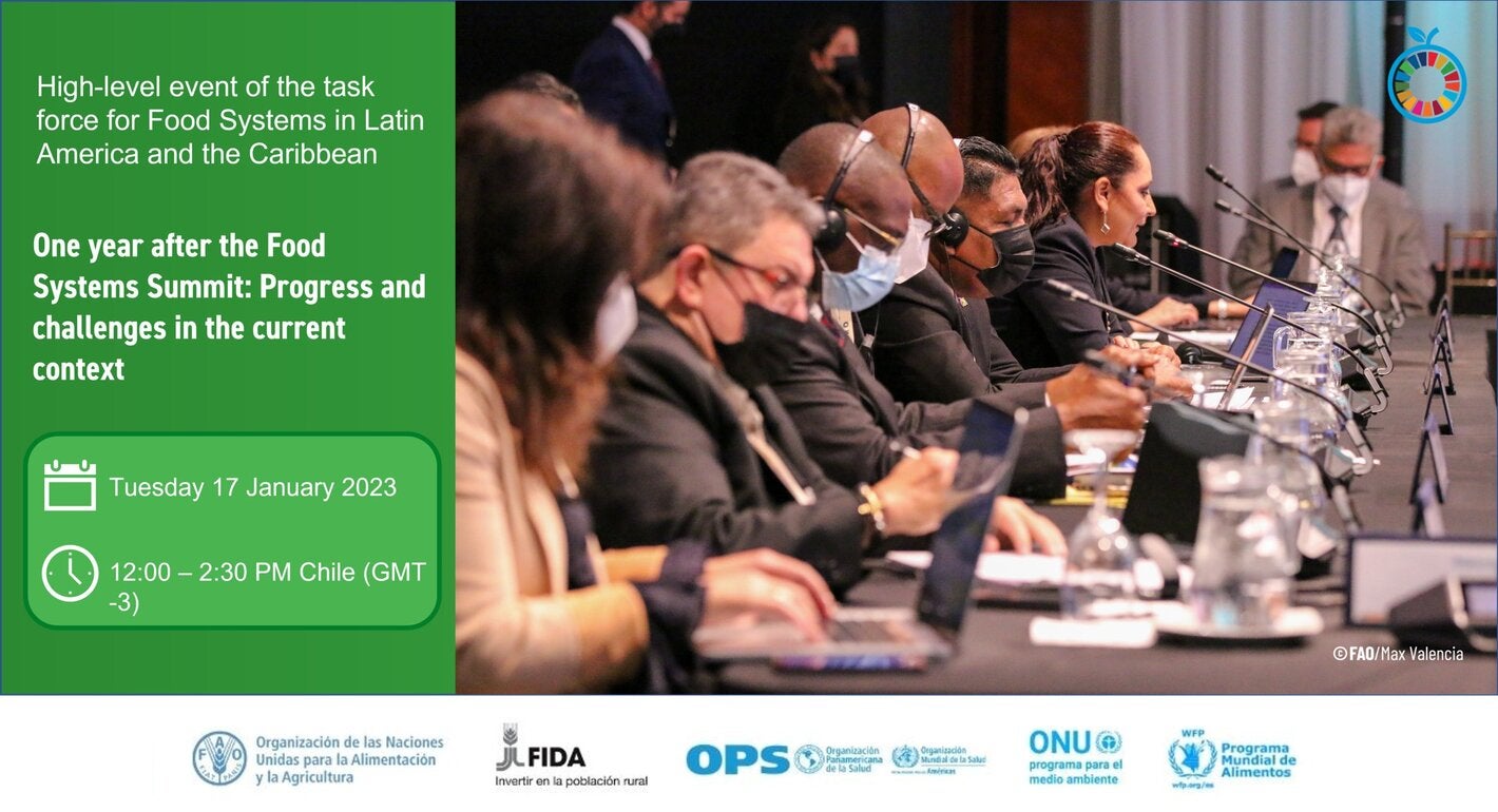 Webinar: One year after the Food Systems Summit: Progress and challenges in the current context