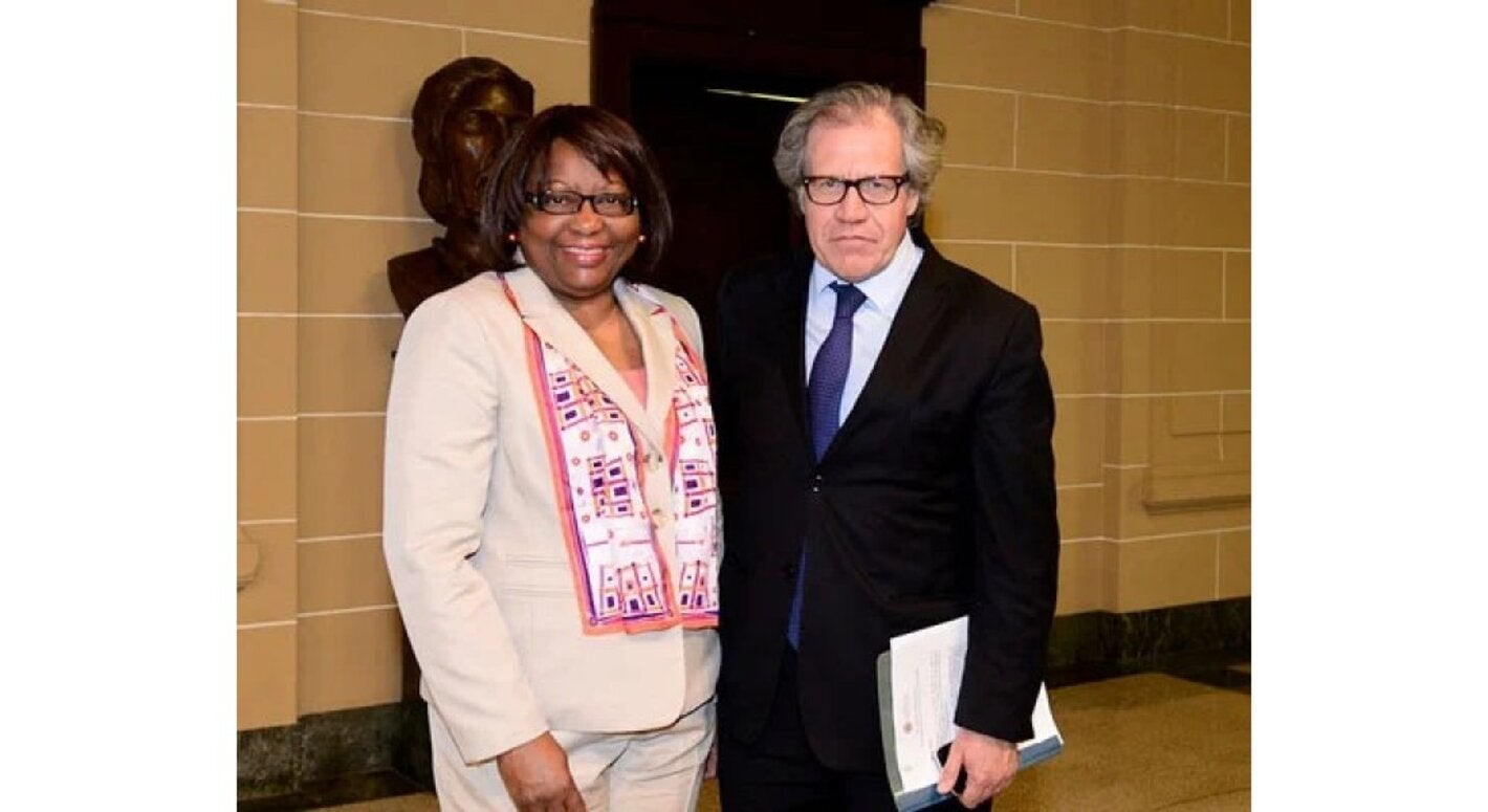 paho and oas directors