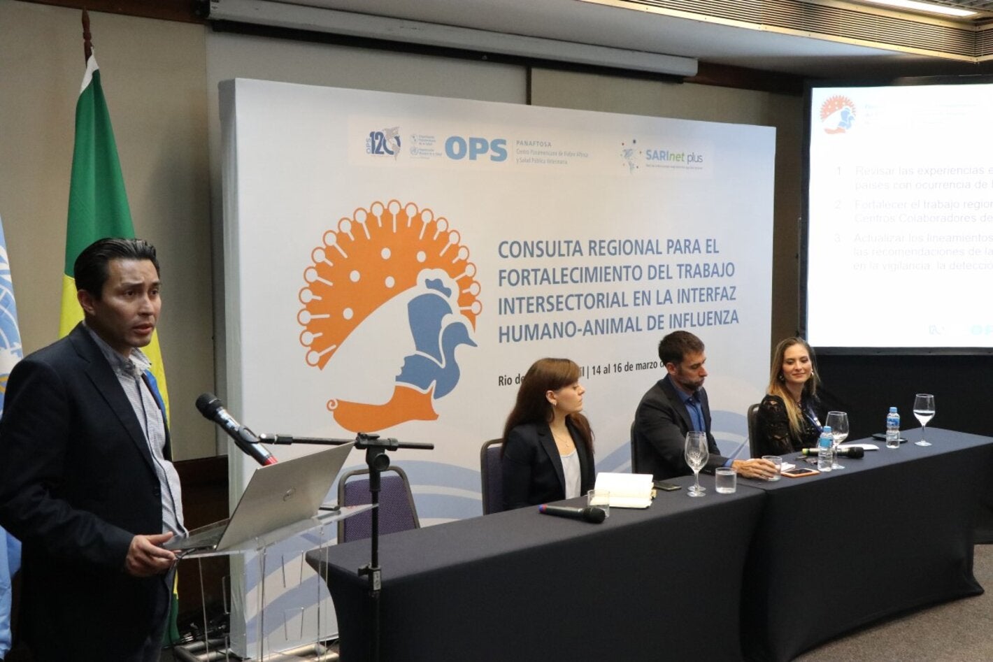 Expertos de la OPS durante la consulta regional en Brasil
