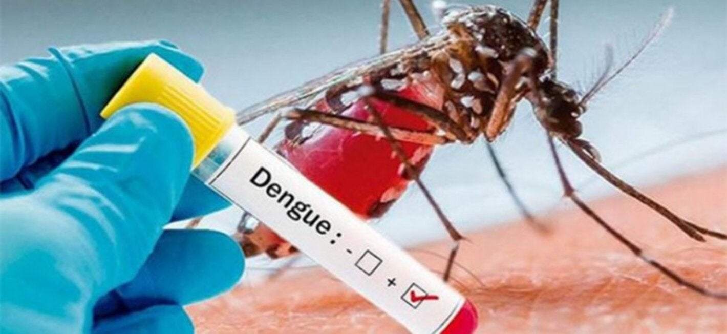 18 curso dengue