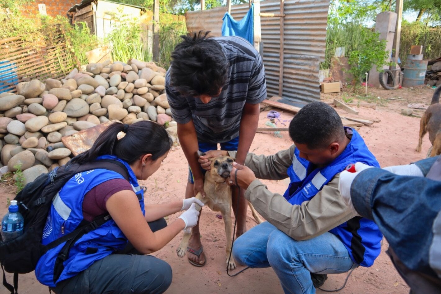 Campaña Leishmaniasis
