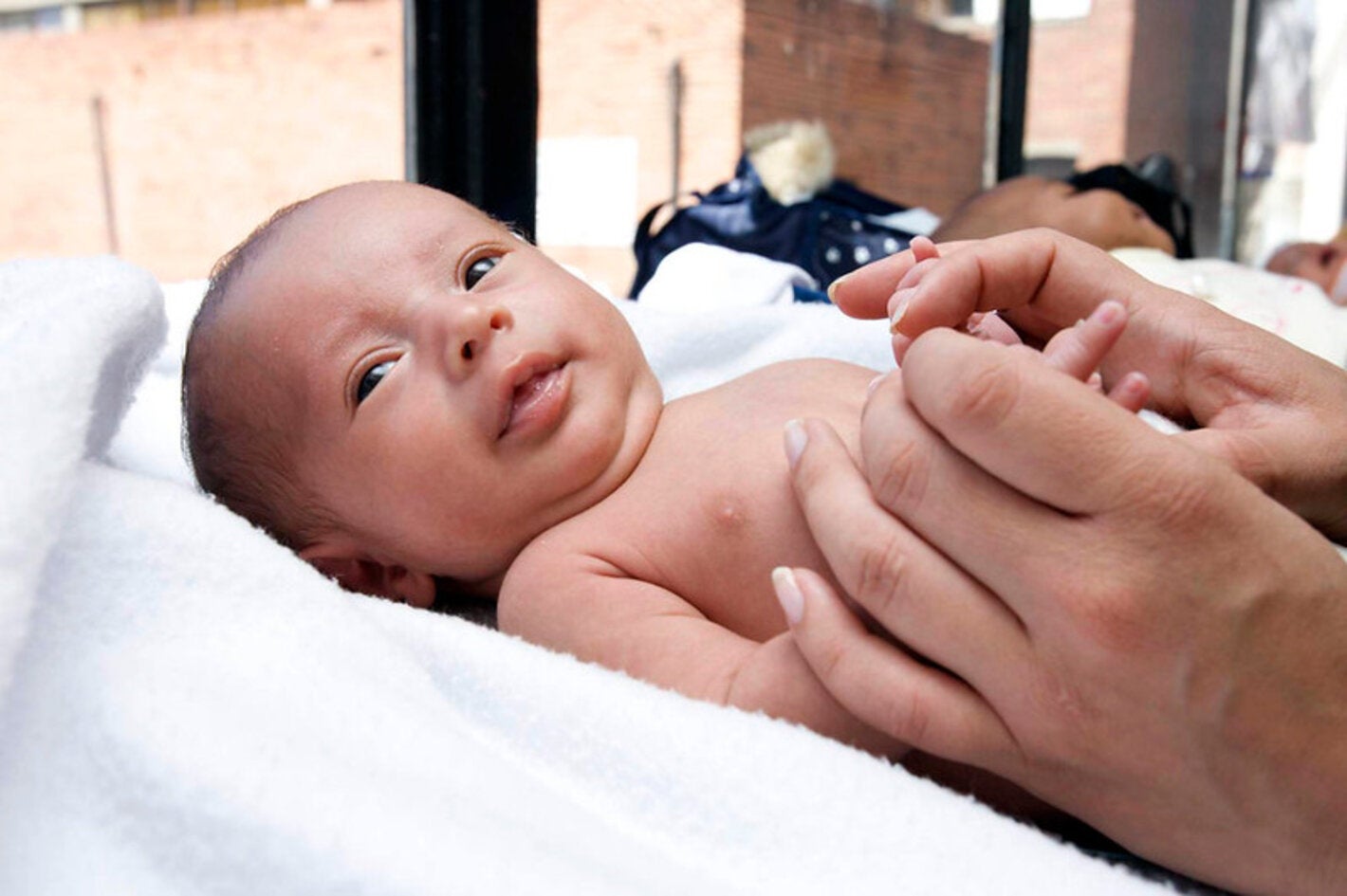 Recién nacido con atención integral en servicios de neonatología