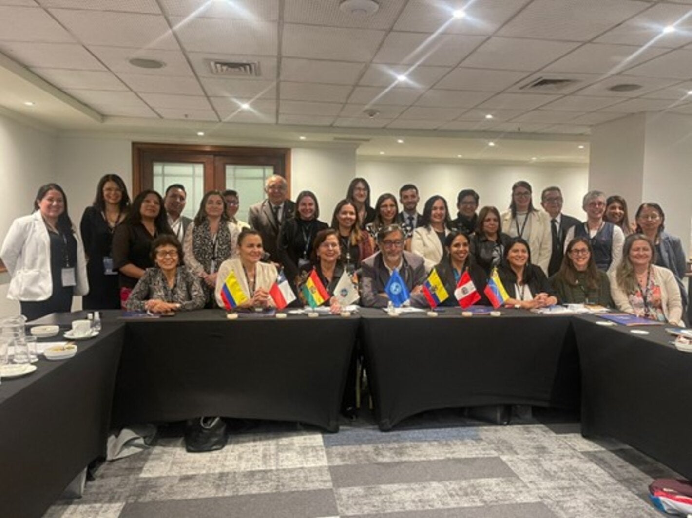 •	El objetivo de esta reunión es contribuir en la planificación y gestión de la Política Andina de Prevención y Control de Cáncer con especial atención sobre el cáncer infantil 