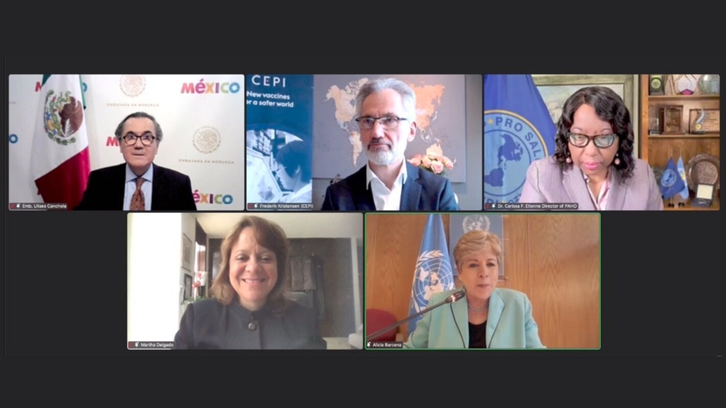 virtual meeting screen grap