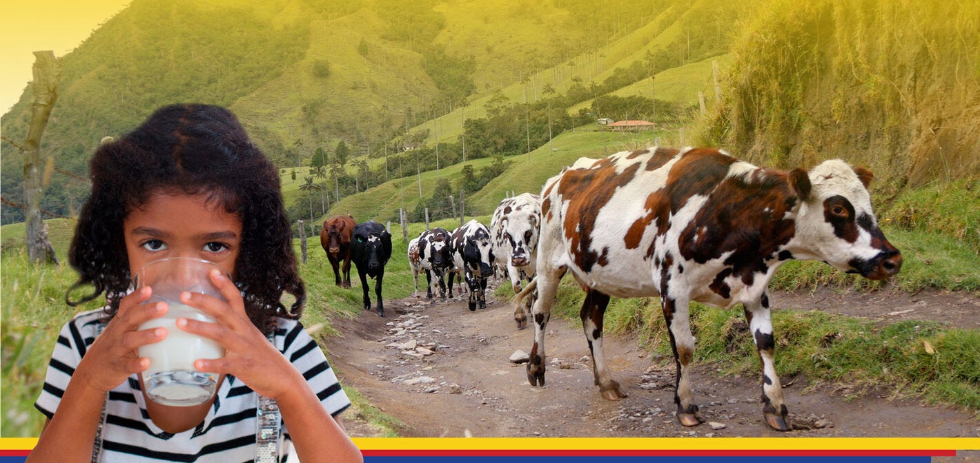 Seminarios web: “Abordaje Integral de la Brucelosis en el Marco de Una Salud”