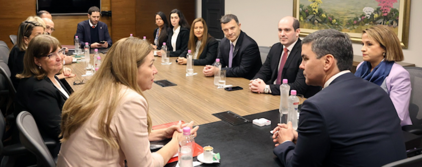 DINAVISA presenta al presidente de la República ambiciones como ARN de proyección internacional