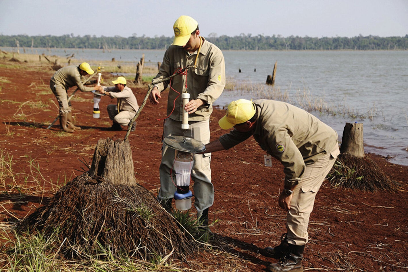 malaria ellimination