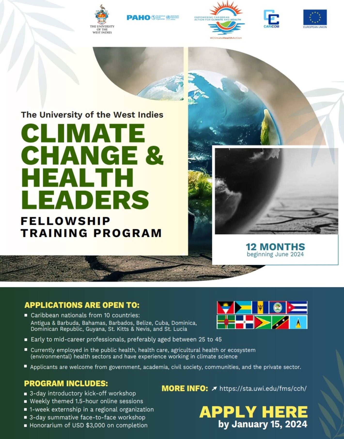 Flyer Climate Change and Health Leaders Fellowship Program