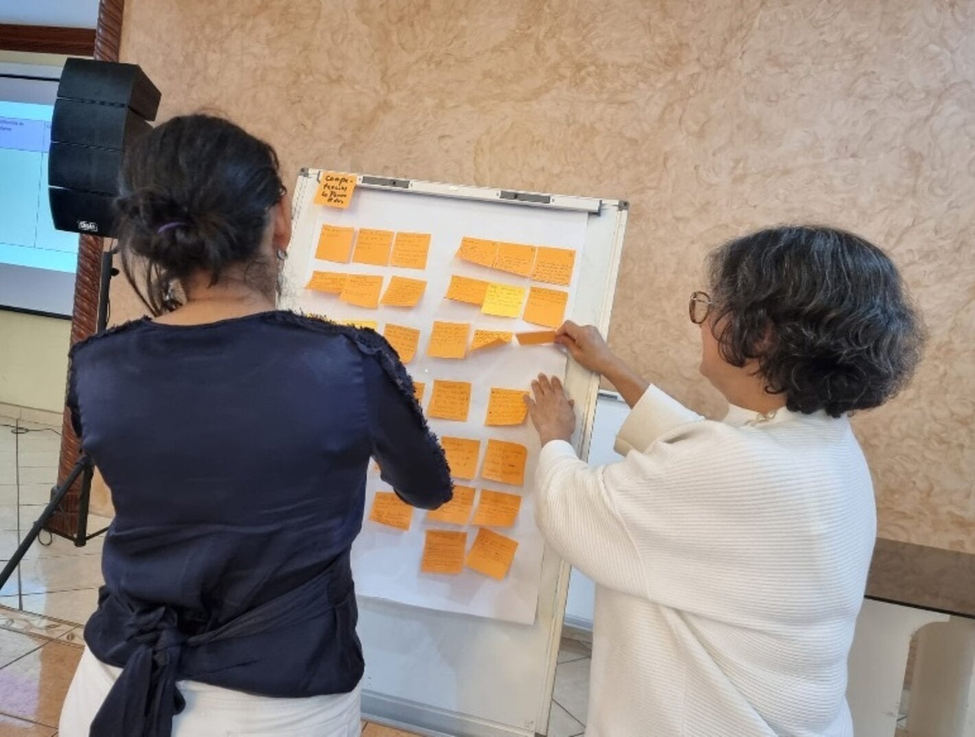 Identificación de problemas RHUS para la construcción de la política