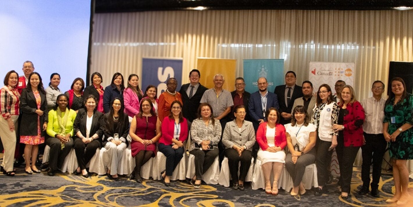 Equipo evaluador del plan nacional de reducción de la mortalidad materna