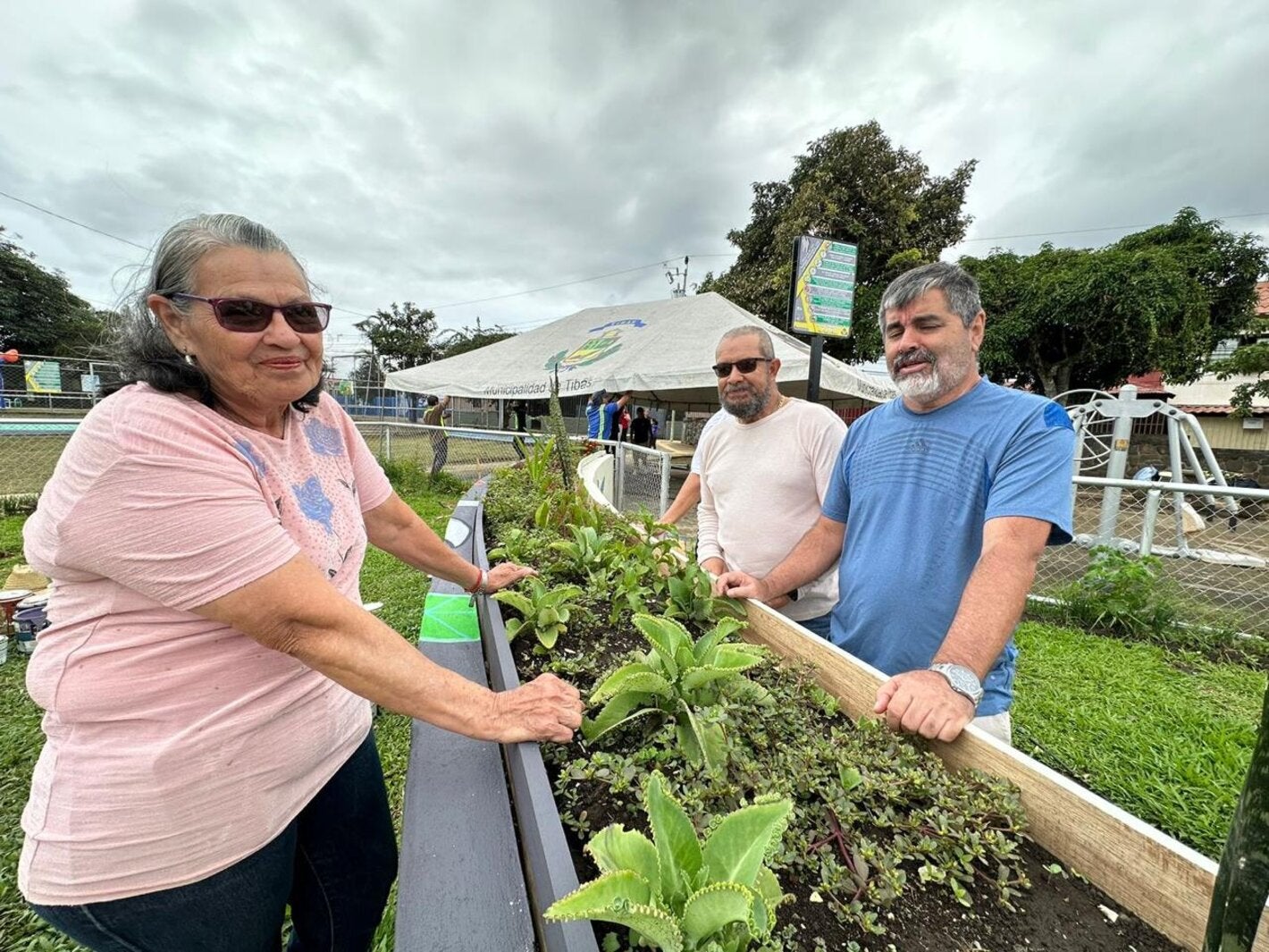 Ciudadanos adultos mayores en una huerta