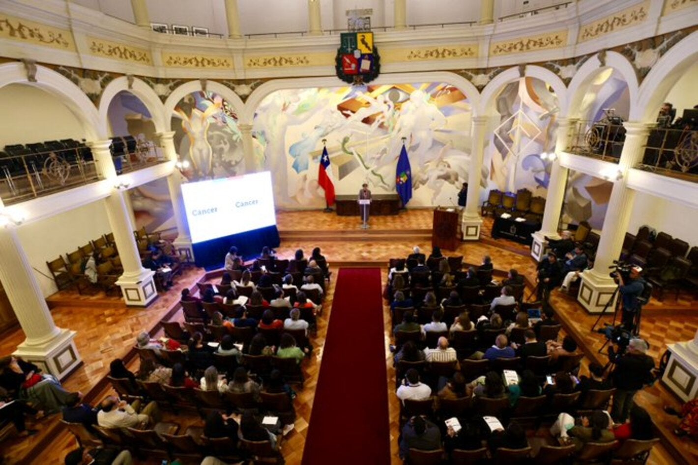 •	Nuevas estrategias del Plan Nacional de Cáncer en Chile presenta por primera vez enfoque en población Infantoadolescente 