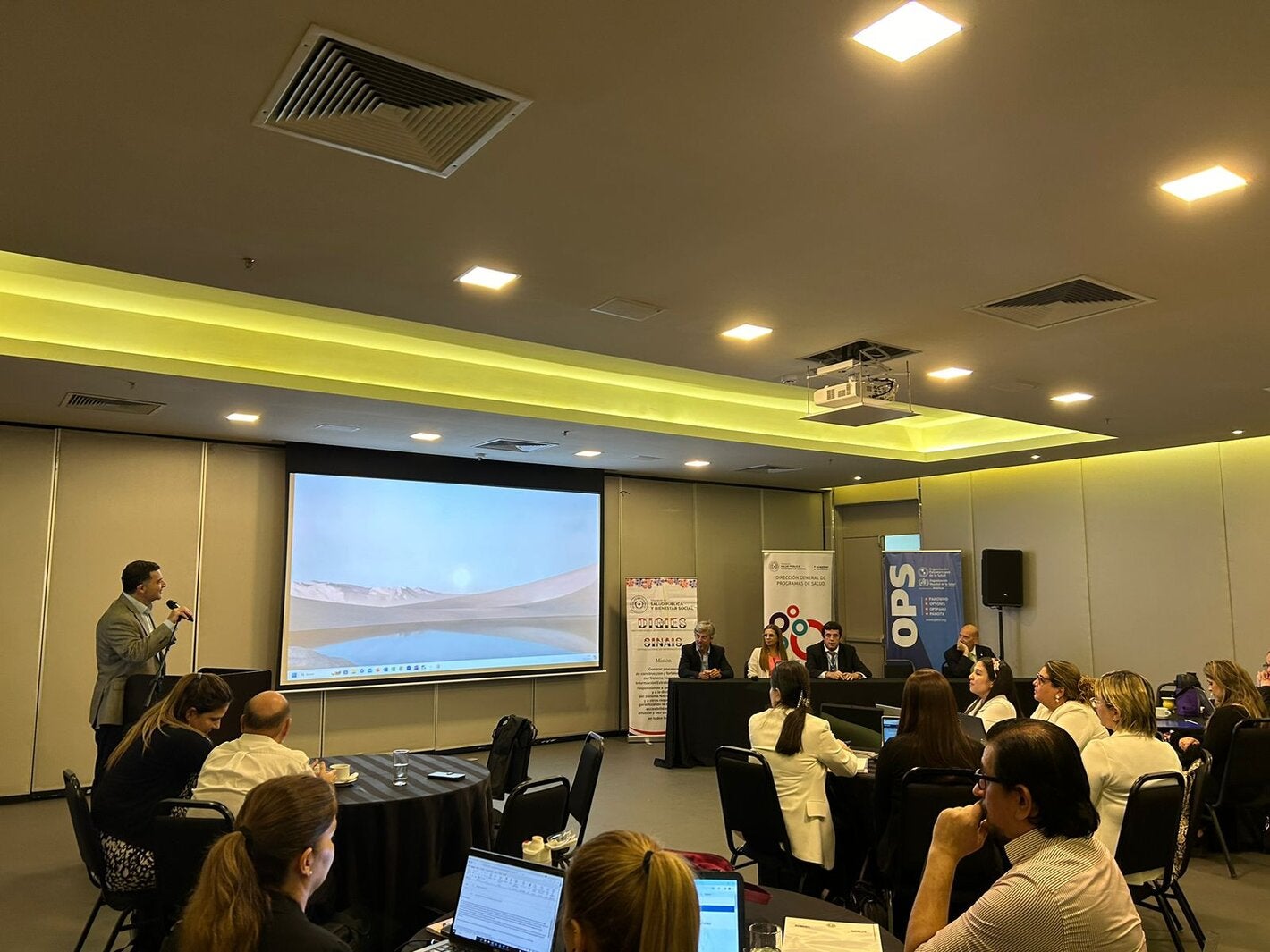 Taller sistema salud materna