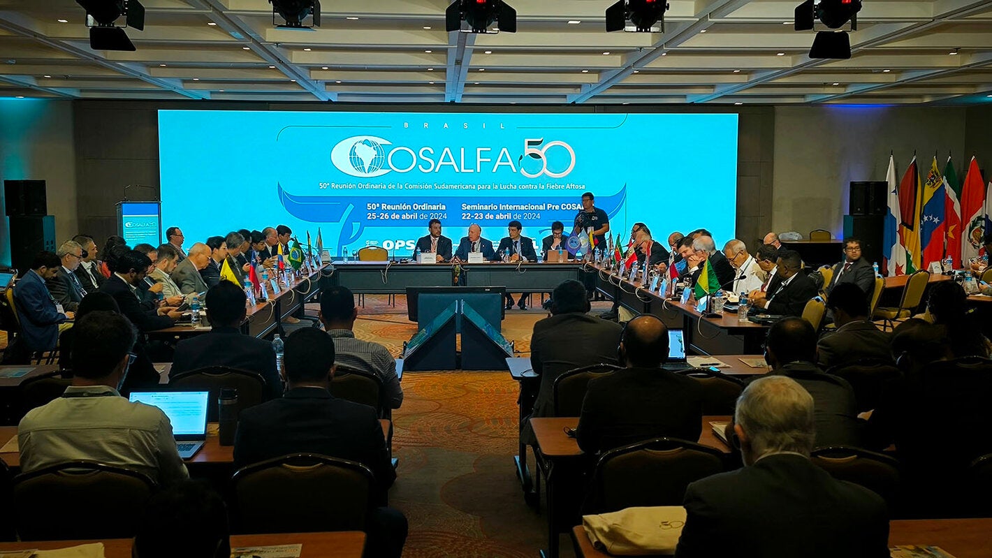Clausura COSALFA 50