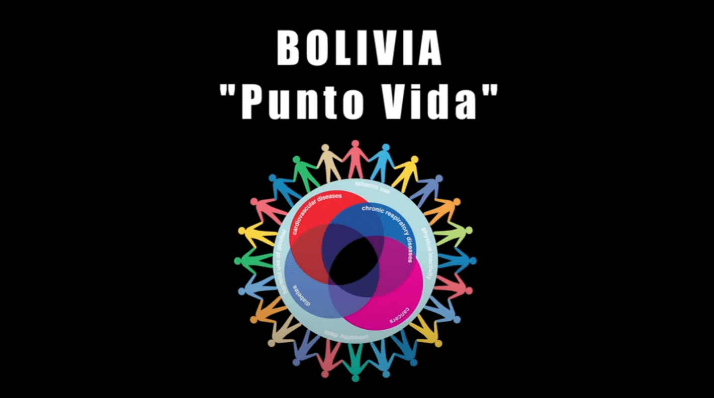 punto vida logo