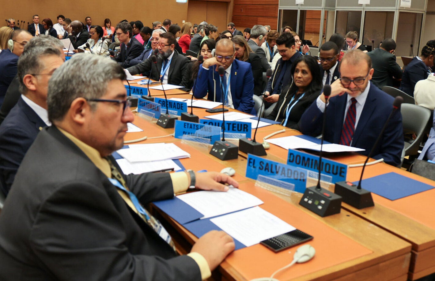 Delegations of the Americas at the 77th World Health Assembly