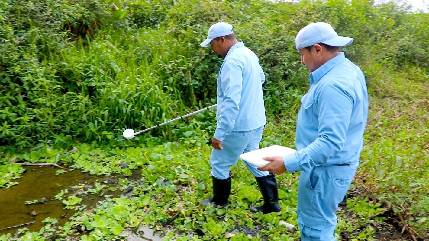 Taller Binacional sobre la Vigilancia Entomológica de la malaria