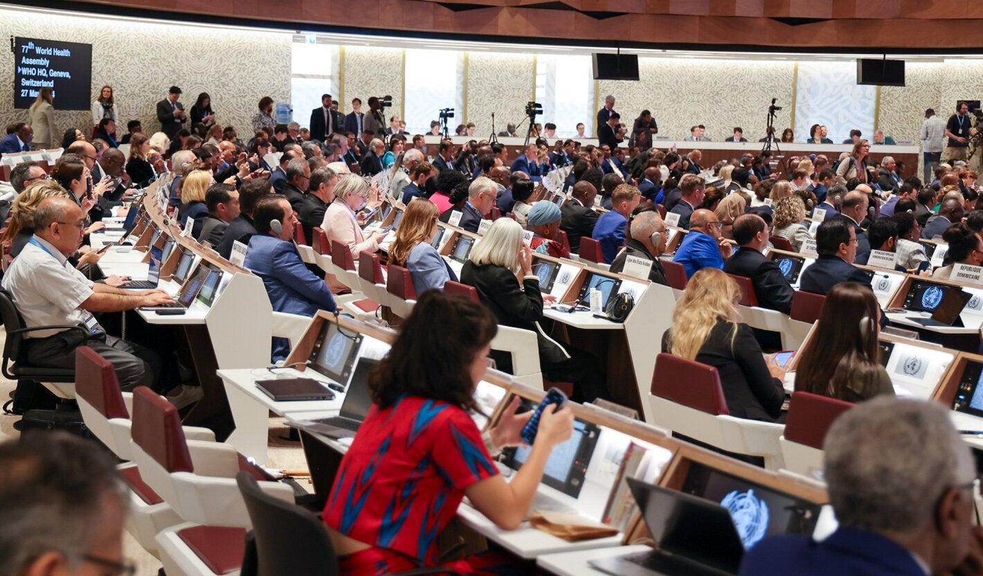 Delegates at World Health Assembly 