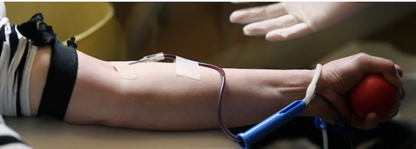 blood donación
