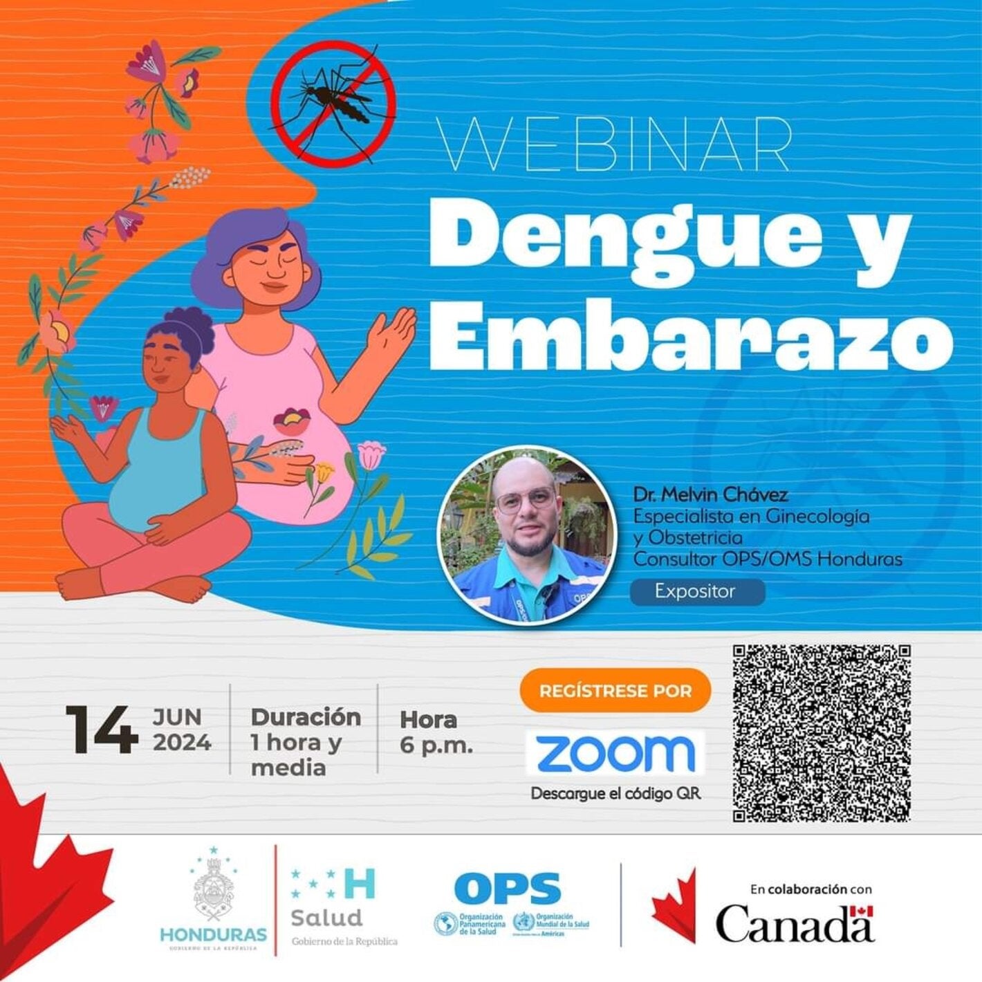 anuncio de webinario Dengue y Embarazo