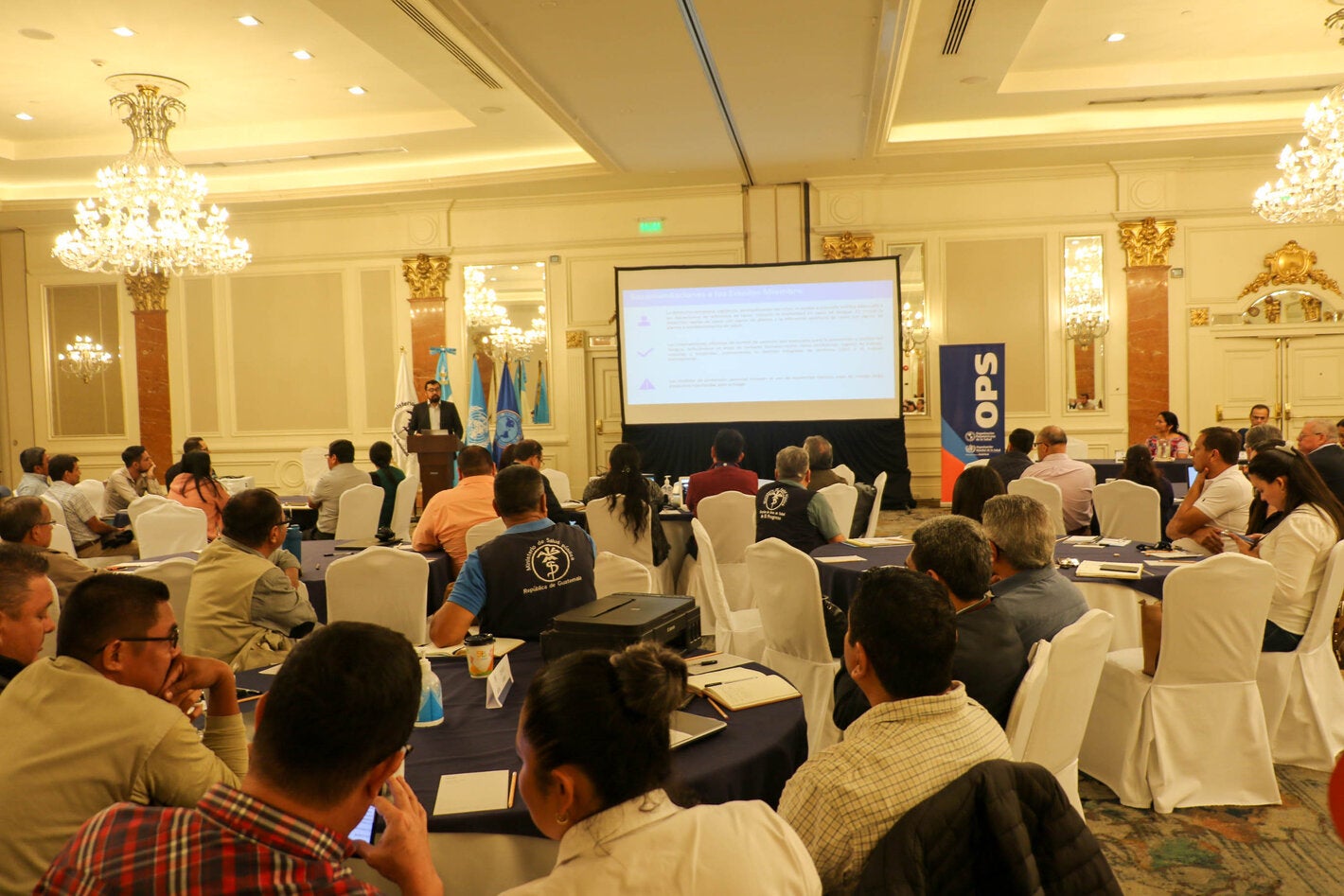 Taller de revisión del presupuesto del programa de prevención de enfermedades vectoriales