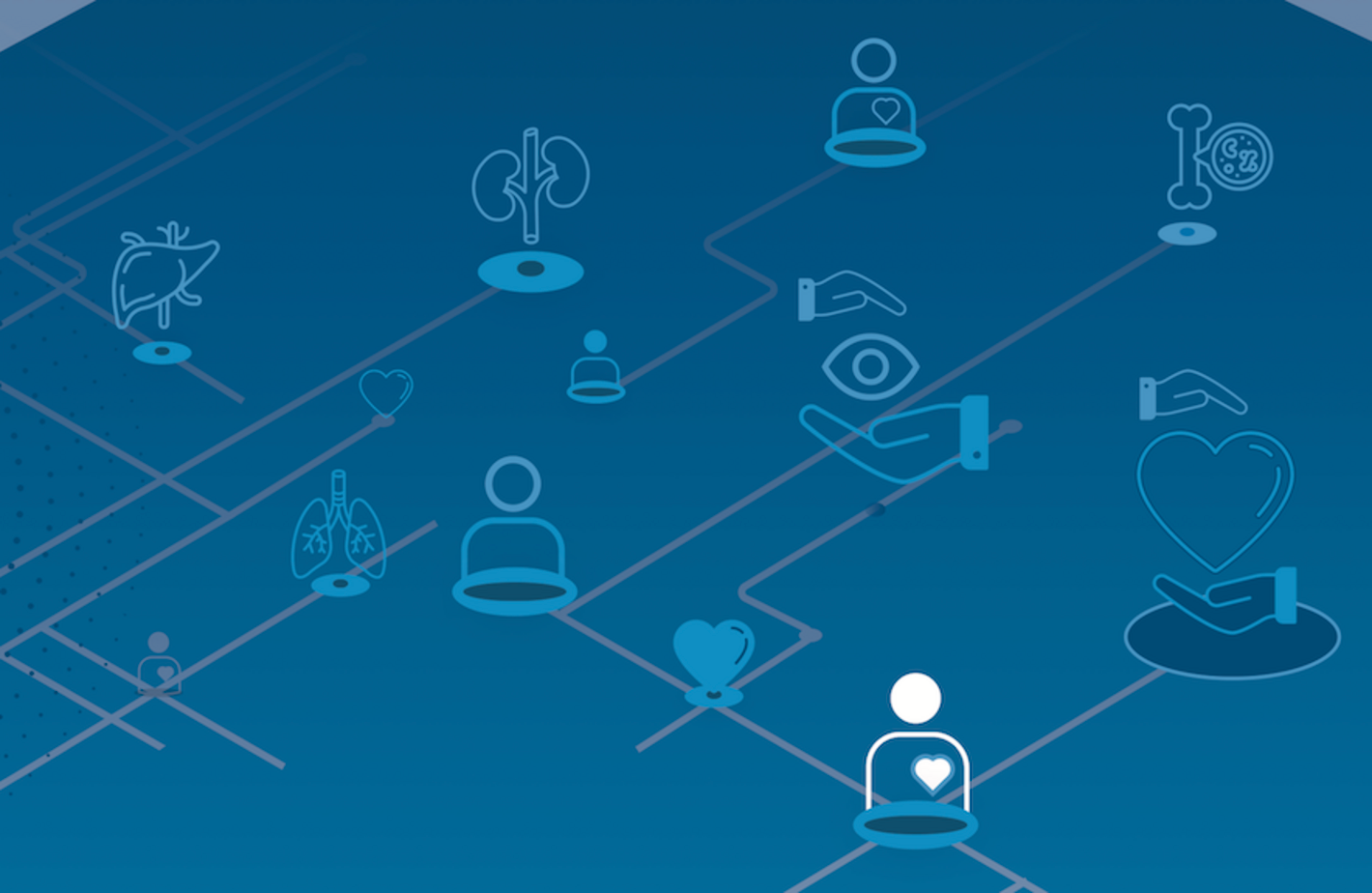 Acuerdo pionero sobre trasplantes en la 77.ª Asamblea de la OMS 