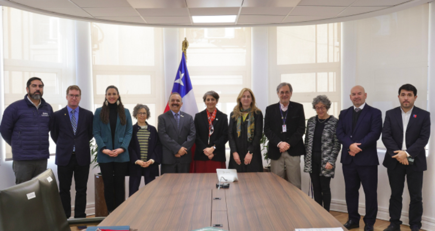 Brotes de Virus Respiratorio Sincicial, presencia del Aedes Aegypti e incendios en Región de Valparaíso fueron los temas abordados en visita al país