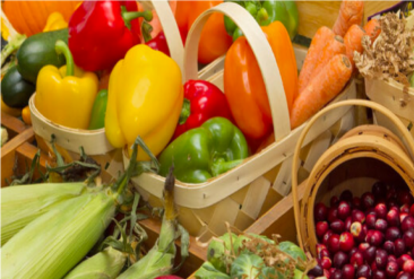 inocuidad de los alimentos