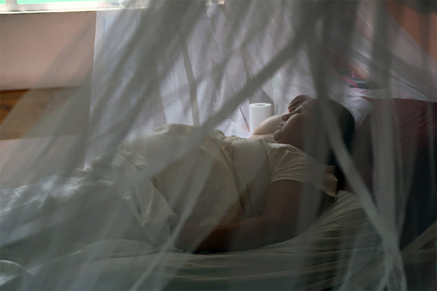 pregnant woman in bed with mosquito net