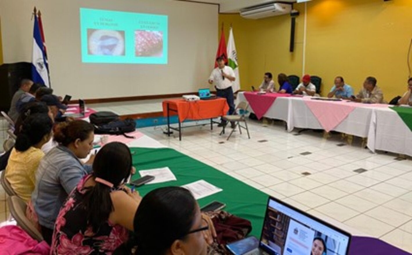 Taller para el abordaje del controlde la teniasis/cisticercosis