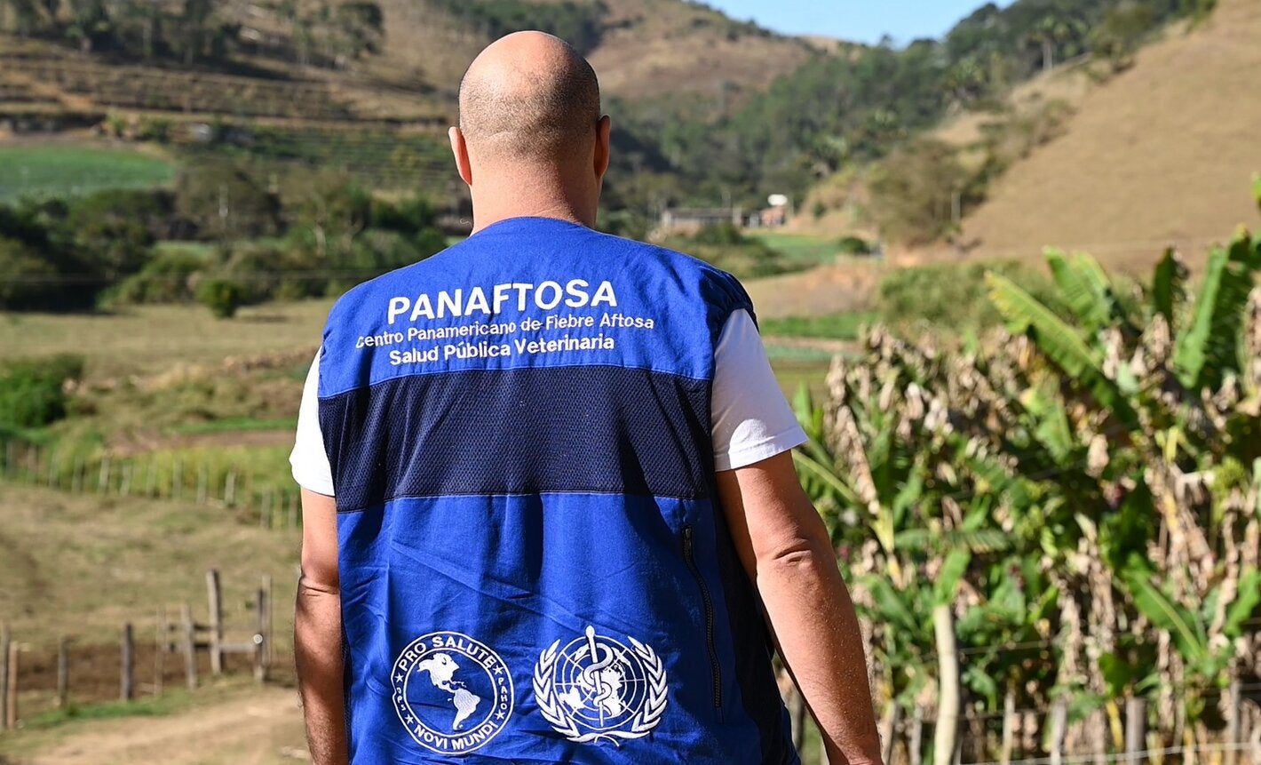 técnico de panaftosa en campo