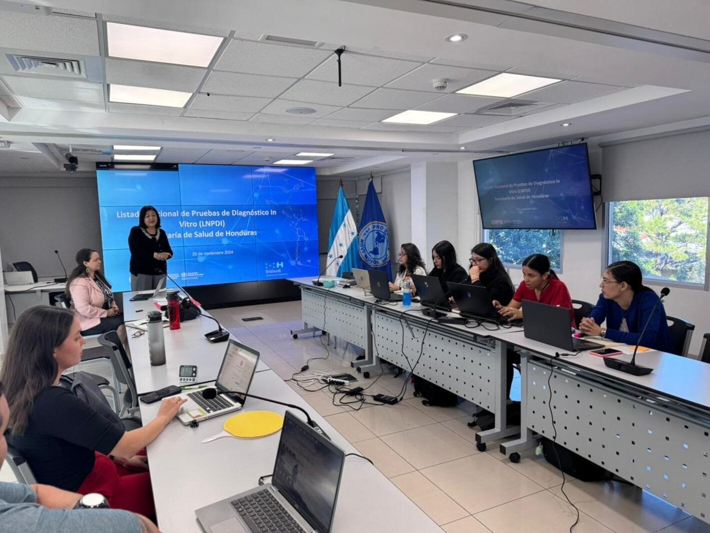 Comité Ad hoc para revisar el listado de pruebas de diagnóstico in vitro