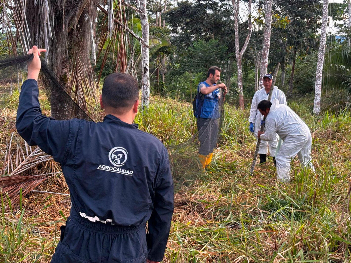 control rabia herbívoros ecuador
