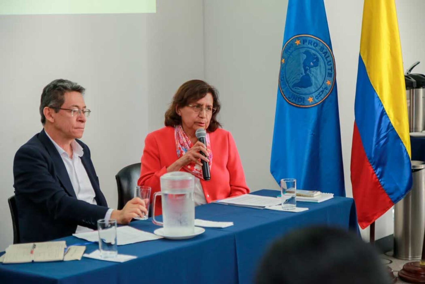 Dra. Tambini y Viceministro de Salud en la mesa dando apertura al taller
