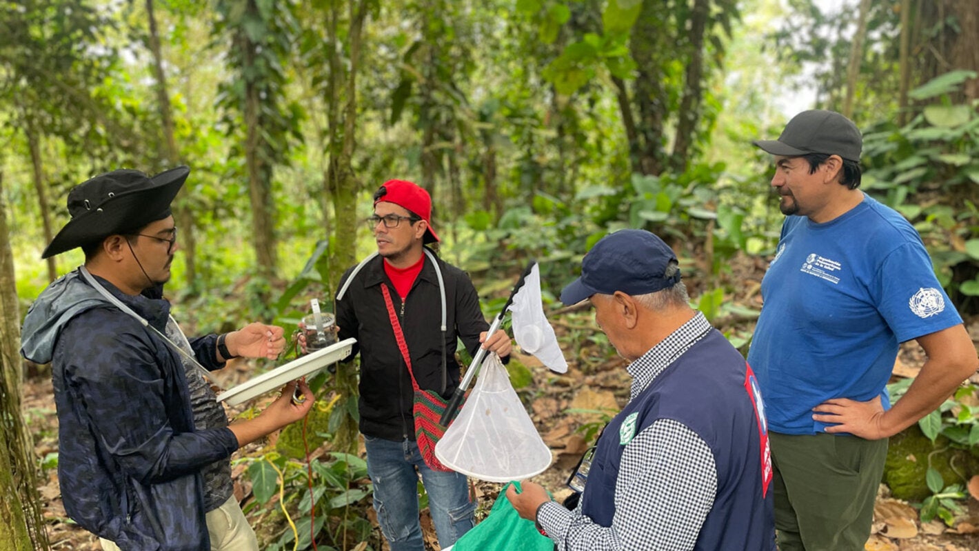 Primates como centinelas: un avance clave en la vigilancia comunitaria de la fiebre amarilla en Colombia