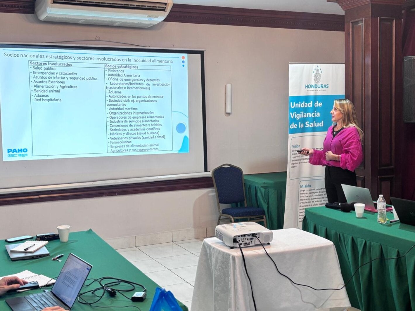 Técnica de Inocuidad de los Alimentos de Panaftosa en Honduras 