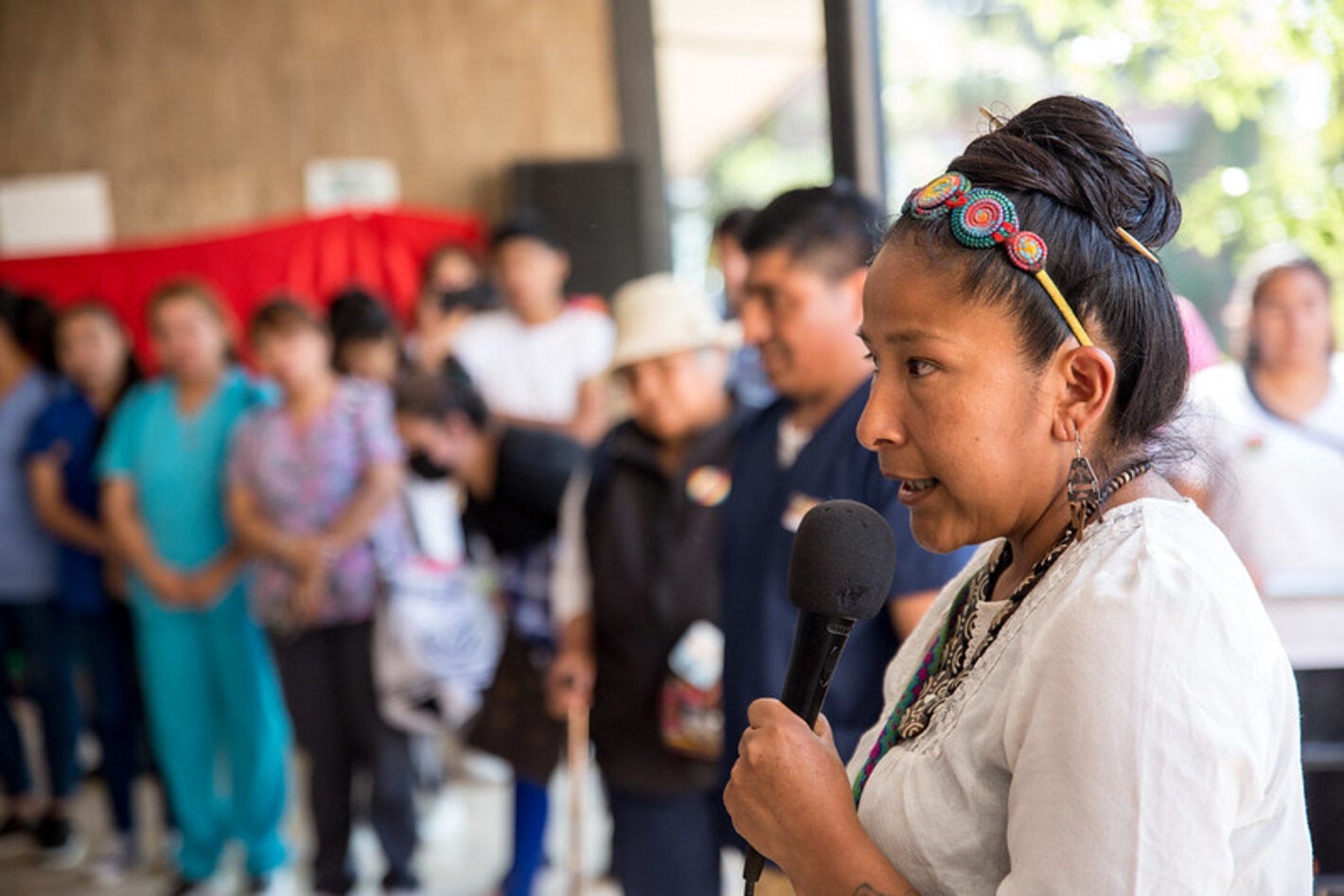 Diálogos de saberes