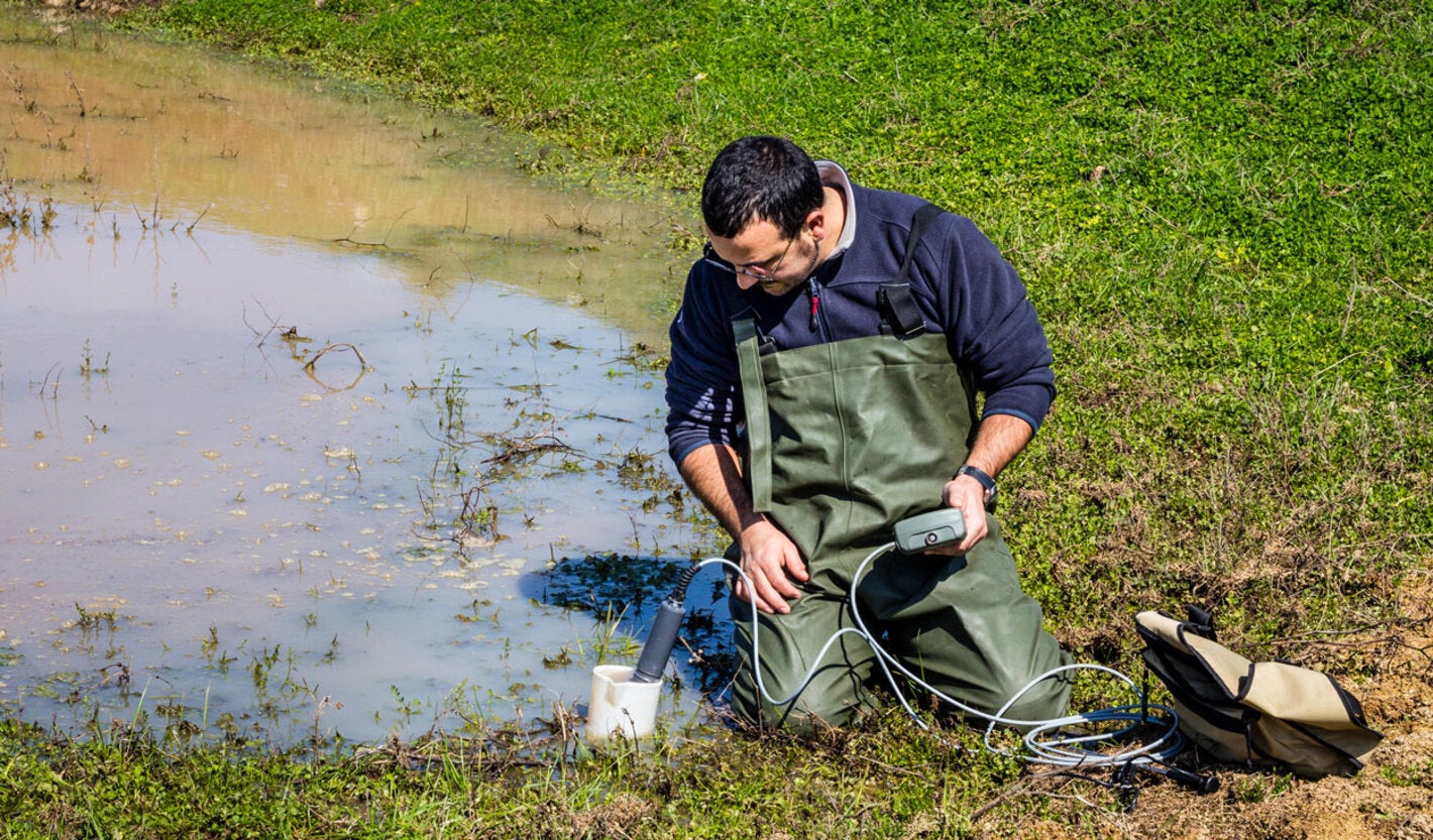 Científico midiendo la calidad ambiental del agua en un humedal