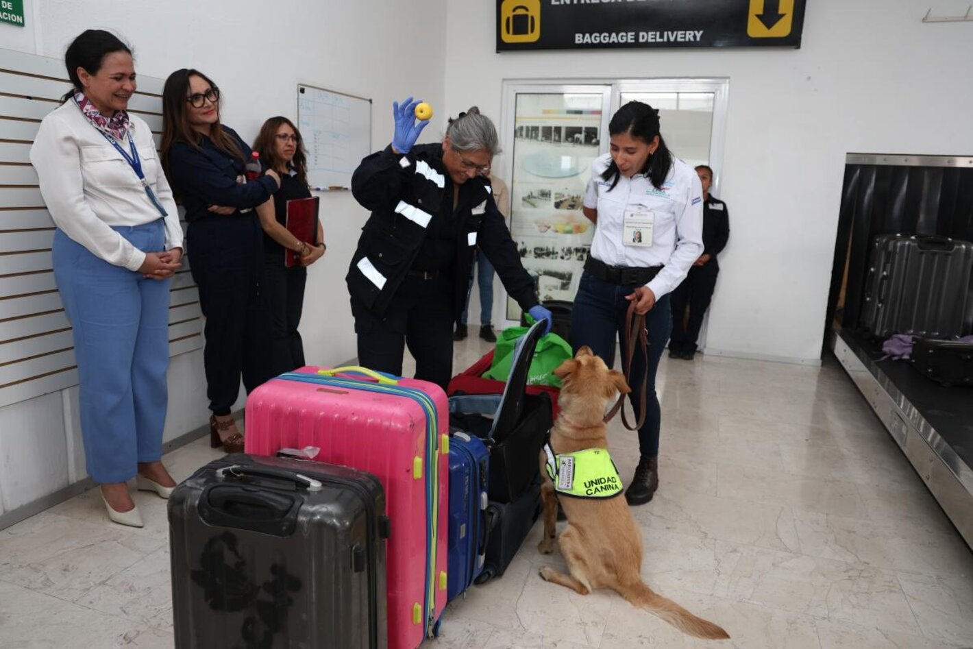 Equipo técnico de la OPS visitó la unidad canina que se entrena en las instalaciones de SENASICA