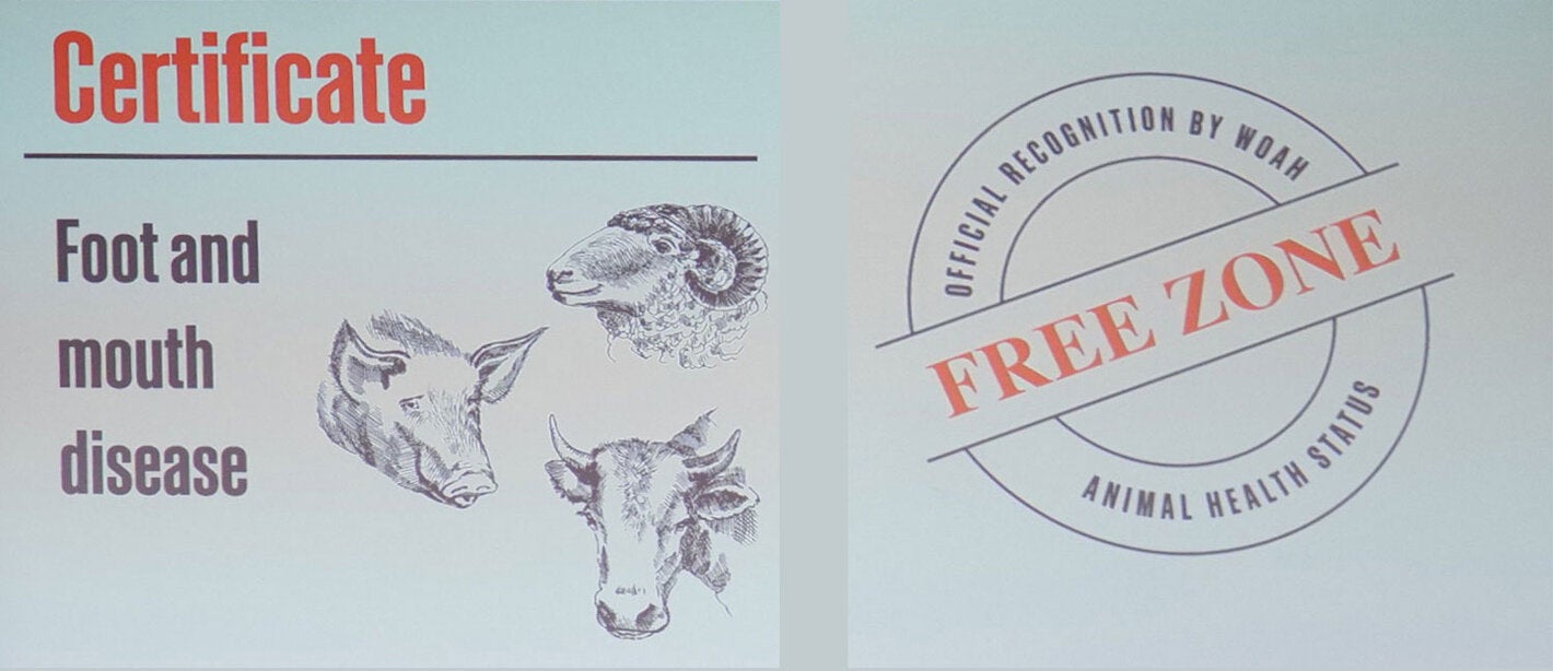 Certificate Free of Foot and Mouth Disease OMSA