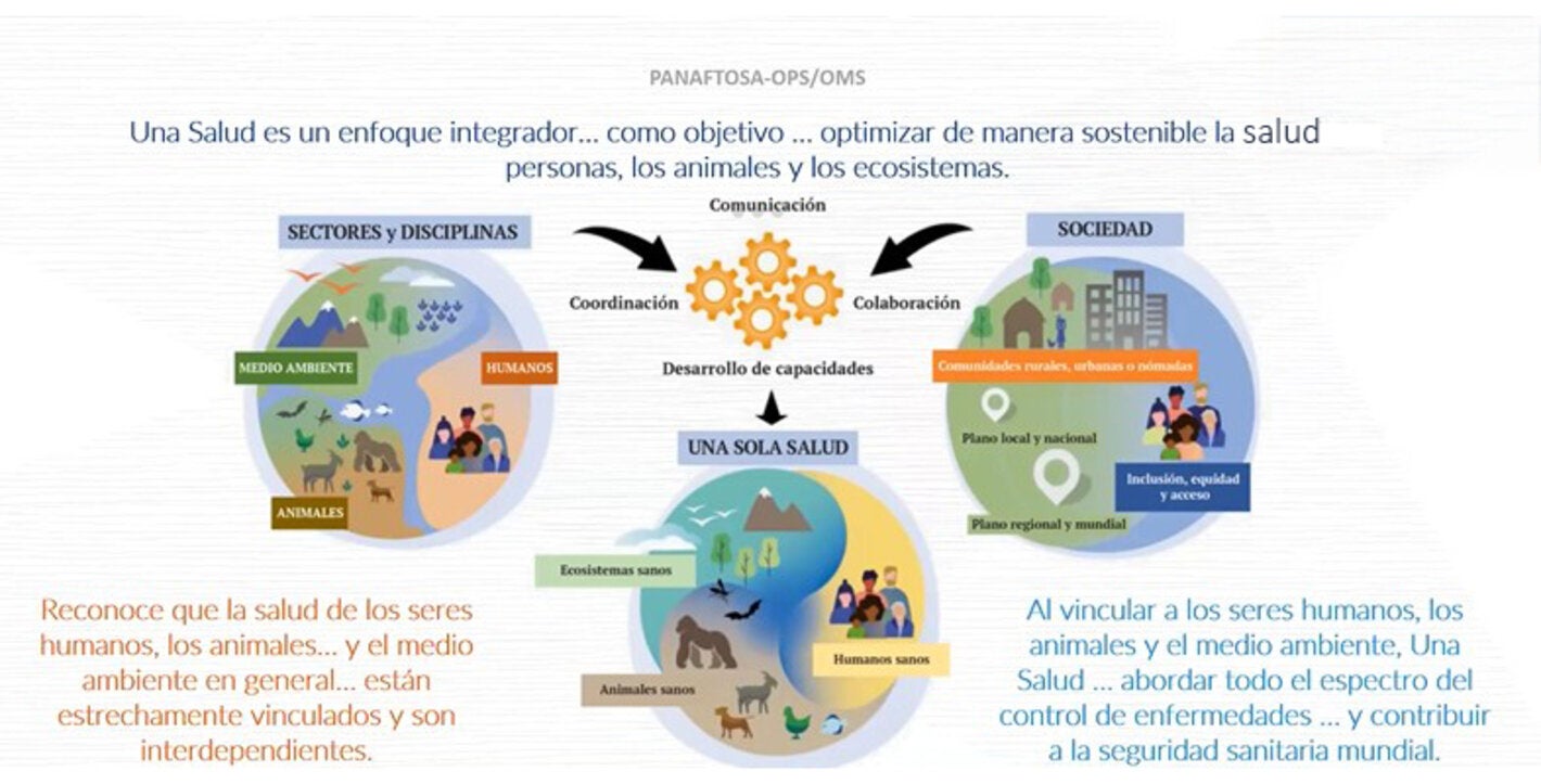 Gráfico de Una Salud